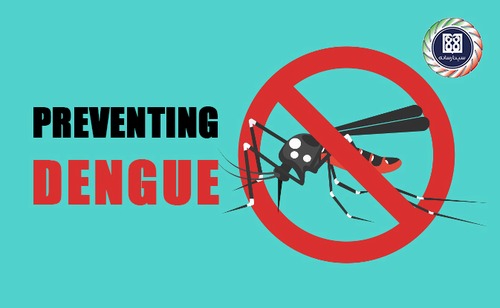 Protect yourself from dengue fever: Here's how